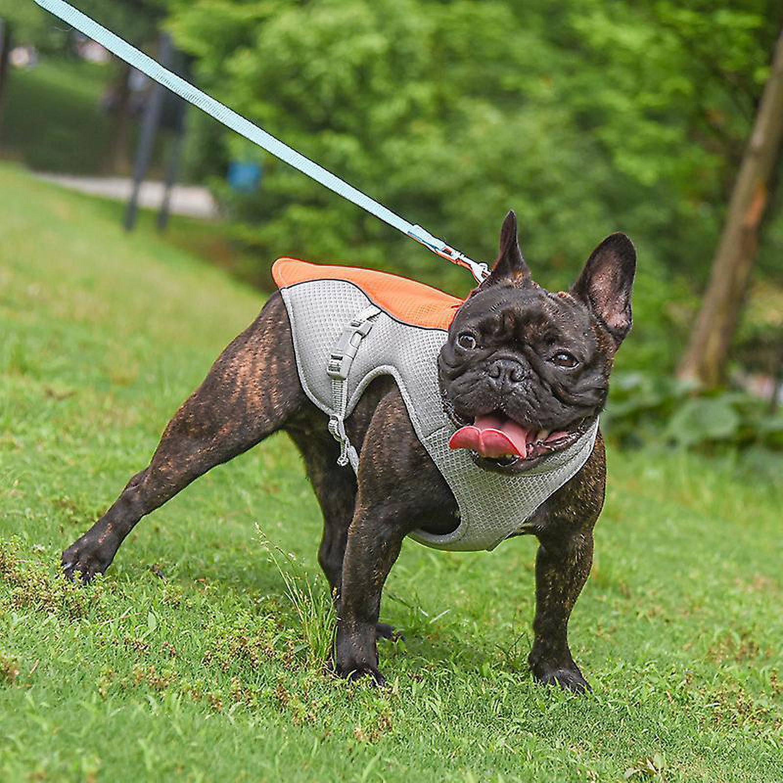 French bulldog cooling vest deals