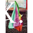 thumbnail image 1 of Marque X, 1 of 2