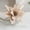 Beige, variant on Christmas Glitter Flowers, 10'' Christmas Glitter Magnolia Flower for Tree Christmas, Poinsettia Magnolia Flower Easy to Hang Christmas Artificial Flowers for Christmas Picks