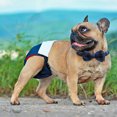 thumbnail image 4 of Collar de gato de algodón PU Collar de entrenamiento de perro con lazo ajustable lindo para niña o niño perro Hugtrwg Para estrenar, 4 of 8