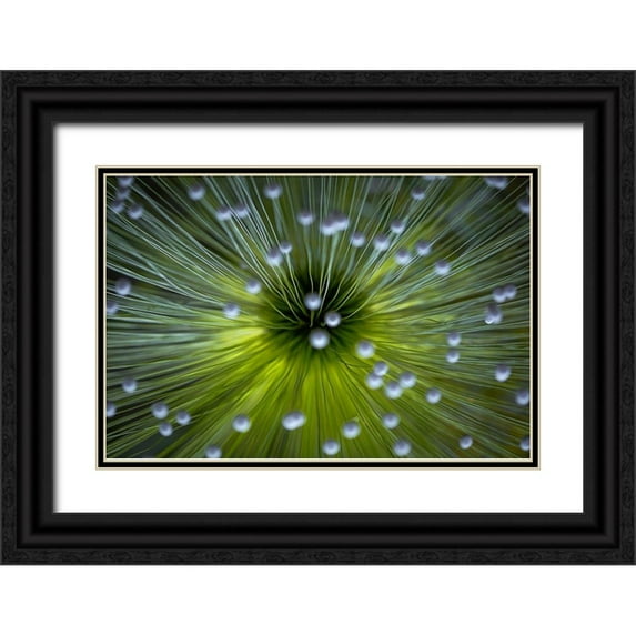 Faber, Wave 14x11 Black Ornate Wood Framed with Double Matting Museum Art Print Titled - Inverted Commas