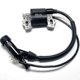 thumbnail image 1 of Einhell Bg-pm 46/3 S Bg-pm 40 Lawn Mower Ignition Coilreplacement Part, 1 of 2