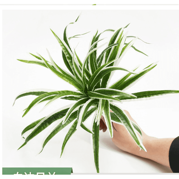 Hanging Artificial Plant in Pot, 12 Inch Faux Chlorophytum Comosum Potted Plants for Home Decor, Realistic Indoor Greenery for Table, Shelf, Desk, Kitchen, , A Bunch of White-Edged Spider Plants