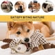 thumbnail image 2 of Juguetes para Perros, Juguete de Peluche con Chirriador Inmortal para Masticadores Agresivos, Lindos Juguetes Suaves para Perros para Limpieza de Dientes A, 2 of 6