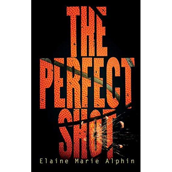 Pre-Owned The Perfect Shot (Paperback) 0761381384 9780761381389