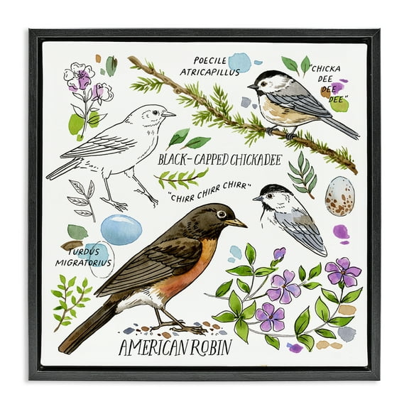 Stupell Industries Local Bird Watching Animals Painting Black Floater Framed Canvas Art Print Wall Art, 18 x 18