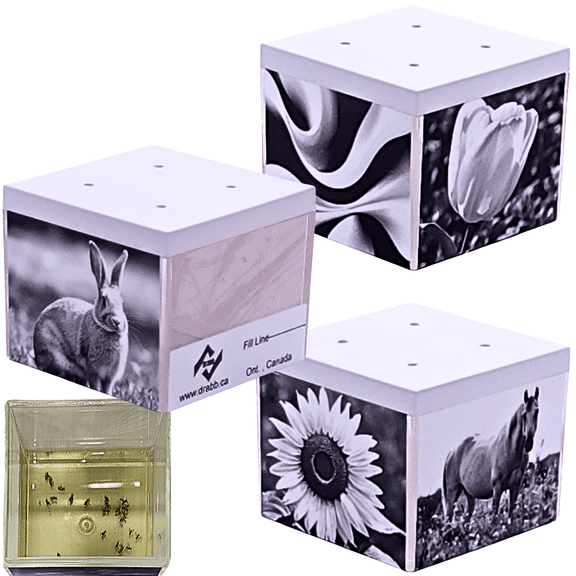 Drabb. Discreet Reusable Fruit Fly Traps, Blends Great Into Every Environment, Set of Three