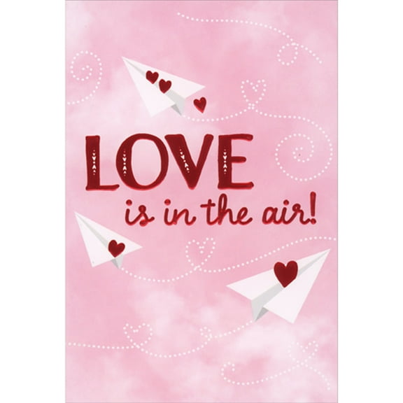 Pictura Love is in the Air Paper Planes Valentine's Day Card for Someone Special