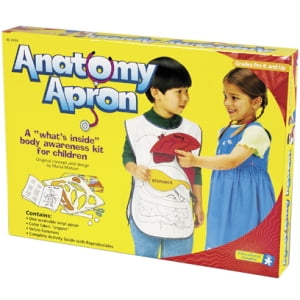 Anatomy Apron