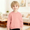 thumbnail image 5 of Wdgfv Toddler Baby Boy Girl Pullover Sweatshirt Solid Color Crewneck Blouse Shirt Tops Warm Fall Winter Clothes Light Pink 6-9 Months, 5 of 7