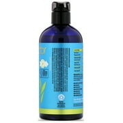 PURA DOR Scalp Therapy Shampoo For Thinning Hair 16 Fl Oz