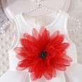 thumbnail image 6 of Fesfesfes Girls Solid Color Sleeveless Dress Princess Gown Shoulder Strap Party Dress Elegant Pleated Skirt Toddler Kids Formal Princess for Girl(White#2,2-3 Years), 6 of 9