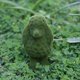 thumbnail image 2 of Flocked Animal Statue European Style Handcrafted Resin Simulation Moss Flocked Figurine for Garden Type C, 2 of 5