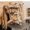 thumbnail image 3 of 3 In 1 Rechargeable Silica Gel Cats Steam Brush With 2 Brush Head Self Cleaning Steam Cats Brush For Massages Removing Tangled And Loosse Hair, 3 of 5