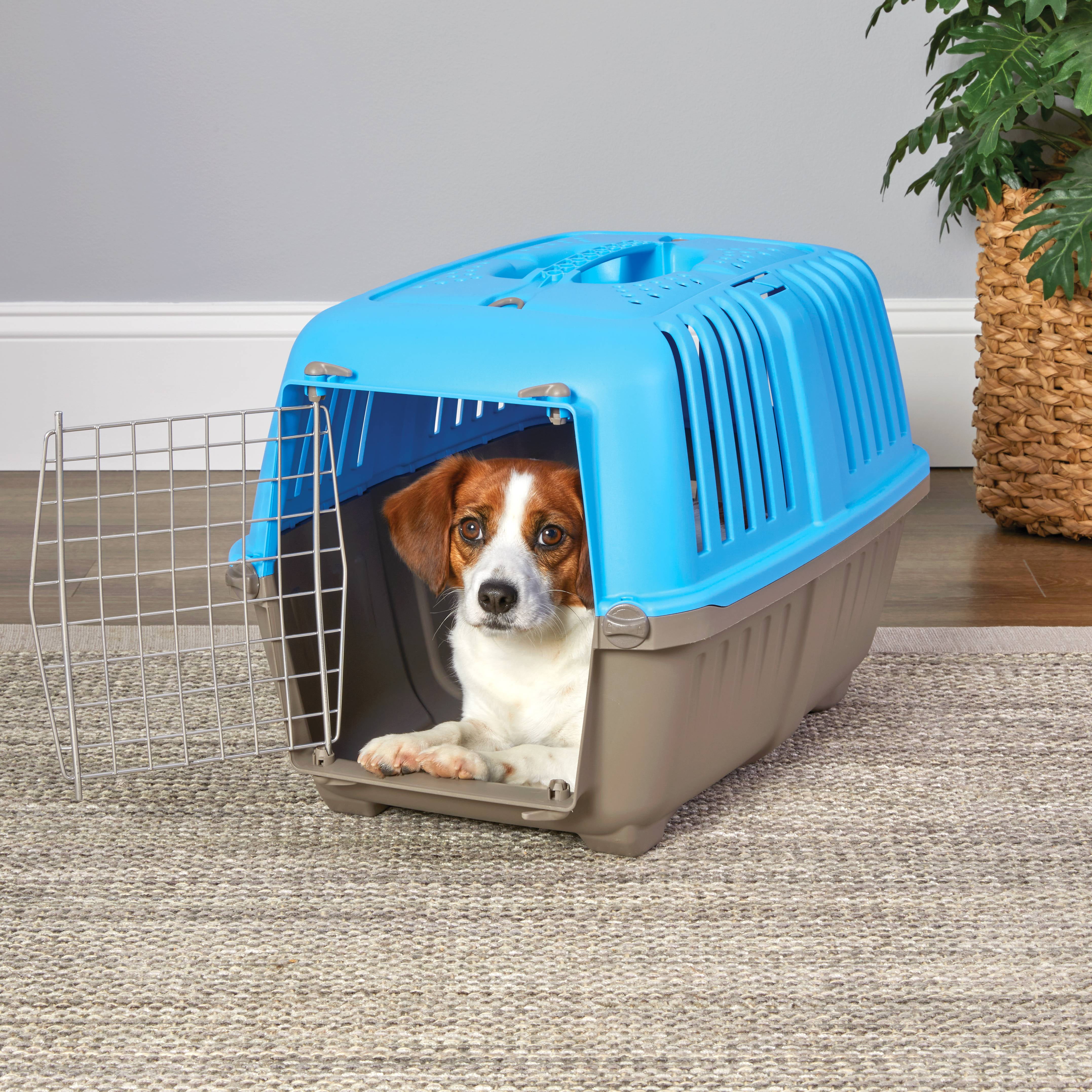 Spree™ Pet Carrier, Your Pet's Perfect Travel Companion