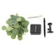 thumbnail image 2 of Guirnalda de luces solares de hiedra, luces colgantes impermeables para arco de boda 5m 50Led, 2 of 9