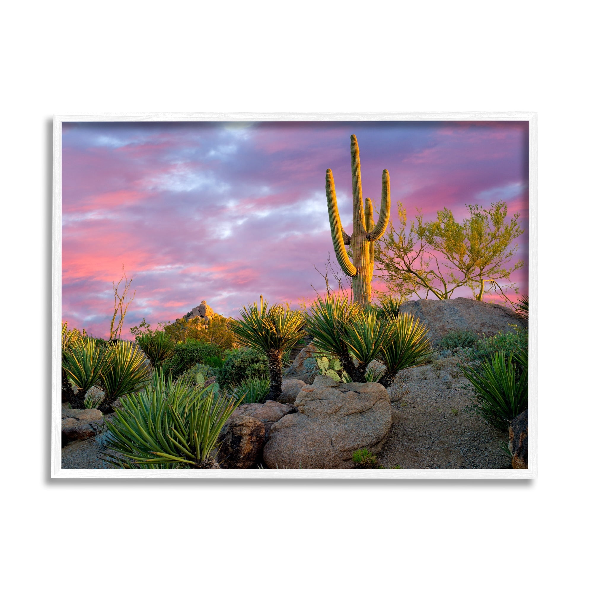 Stupell Industries Pink Sunrise Arid Cactus Plants Landscape Photography White Framed Art Print Wall Art