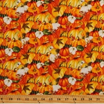 Cotton Pumpkins Autumn Fall Season Squash Vegetables Harvest Whisper Cotton Fabric Print by the Yard (5742-33)
