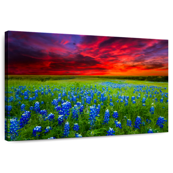 Elephant Stock Bluebonnets At Sunset I Wall Art - Horizontal Canvas Wall Art - Living Room Wall Decor - Nature Canvas - Brown And Gray Decor - 12" x 8"