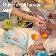 The Honest Company Fragrance Free Sanitizing Alcohol Wipes, Antibacterial with Aloe, Kills 99.99% of Germs, 50 Count