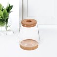 thumbnail image 2 of 1 Set Clear Glass Hydroponic Terrarium Planter Bottle with Lid, Moss Plant Holder for Indoor Gardening and Decoration, 2 of 6
