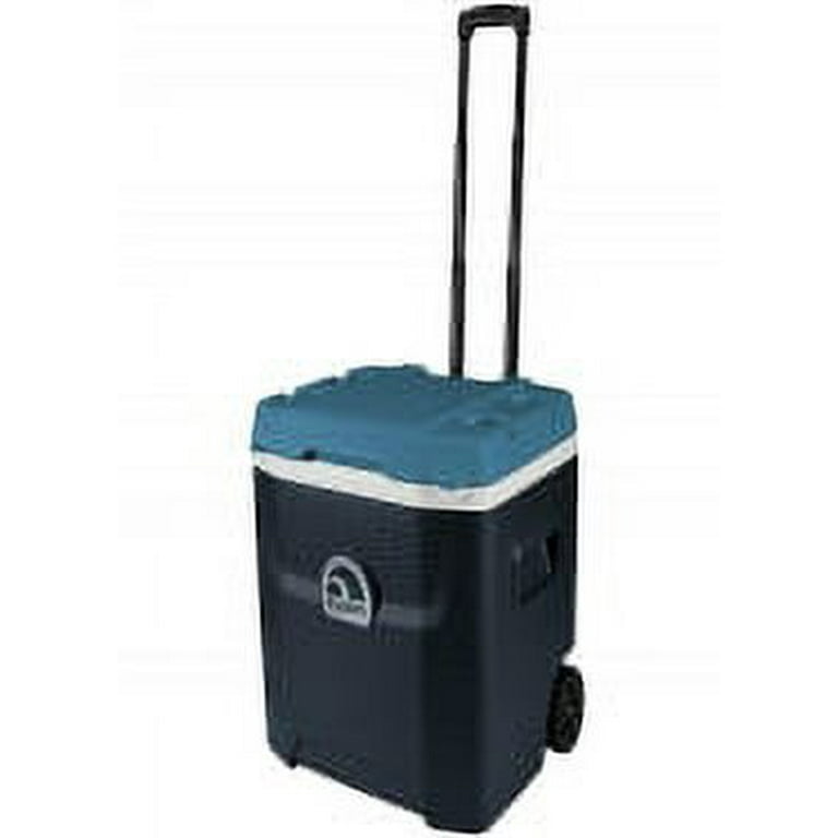 Igloo maxcold store quantum