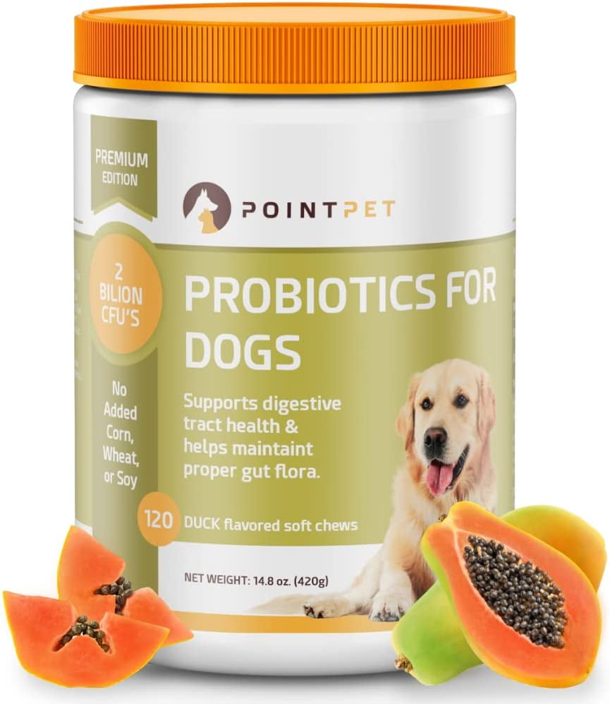 Can A Probiotic Cause Diarrhea In Dogs
