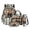 Bear Forest Camo American Flag, variant on Xixirimido Eagle Forest Camo Print 4 Piece Kids Backpack Set with Lunch Box Pencil Case and Water Bottle Holder 17 Inch Backpack for Boys Teens Elementary Middle School