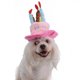 thumbnail image 3 of AURARMLET Sombrero De Cumpleaños Para Perros Con De Pastel Y Velas En Color Rosa Para Fiestas, 3 of 6