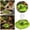 Green, variant on Lake Blue Automatic Reptile Water Dispenser and Feeding Bowl with Built-In Reservoir 2 in 1 Reptile Food Water Dish for Terrarium Gecko Lizard Turtle Tortoise Small Reptiles