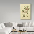 thumbnail image 3 of Trademark Fine Art 'Herbal Botanical XXVI' Canvas Art by Wild Apple Portfolio, 3 of 3