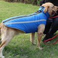 thumbnail image 2 of Windproof Waterproof Dog Jacket, Reflective Winter Dog Jacket With Zipper Closure, Pet Cold Weather Warm Jacket, Dog Apparel Clothes For Medium, 2 of 5