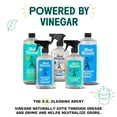 thumbnail image 6 of Aunt Fannie’s Extra Strength Cleaning Vinegar, 32 oz, 6 of 8