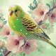 thumbnail image 1 of 5D DIY Kit Con Forma Especial Parcial Loro 30x30cm, 1 of 9