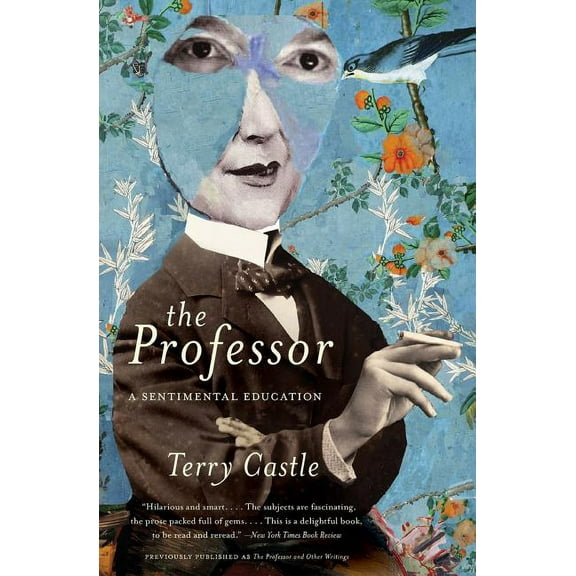 The Professor: A Sentimental Education, (Paperback)