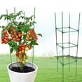thumbnail image 4 of Sturdy Tomato Cages And Climbing Plant Trellises To Promote Plant Growth B, 4 of 9
