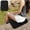 Black, variant on Portable Foldable Seat Cushion, Thickened Moisture-Proof Pad, Mini Camping Picnic Seat Cushion, 14.17x10.24 inch
