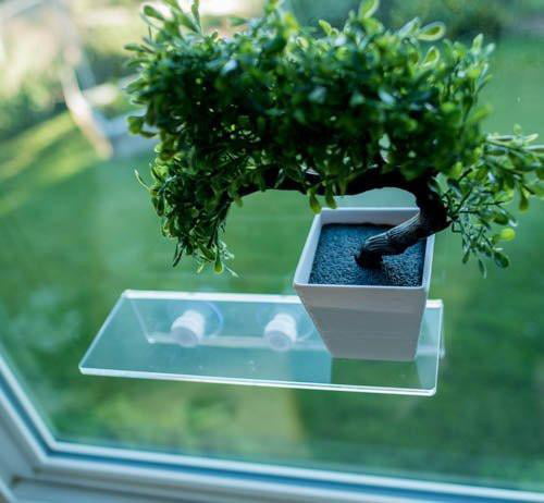 LaBrinx Designs Extra Large Suction Cup Shelf - Live Plants, Windows, and  Bathrooms