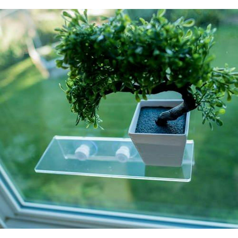 LaBrinx Designs Small Suction Cup Shelf - Live Plants, Windows, and  Bathrooms