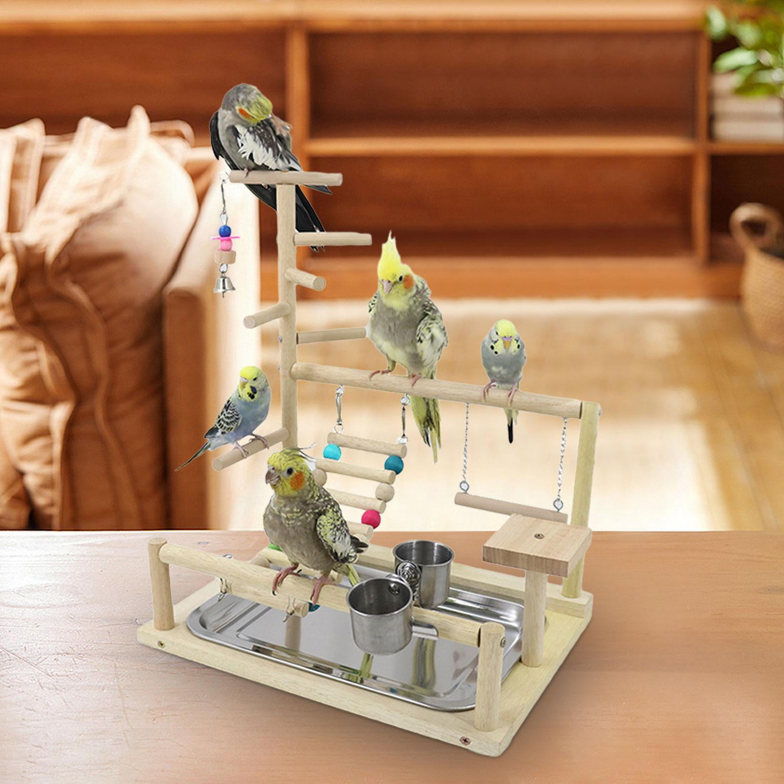 Stgfyxgs Birds, Parrots, Playground, Birds, Hanging Toys, Exercise Activity Center, Playing, Standing, Bird Play Hall, Wooden Play Stand for Parakeets