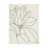 Trademark Fine Art 'Magnolia Line Drawing v2 Crop' Canvas Art by Moira Hershey
