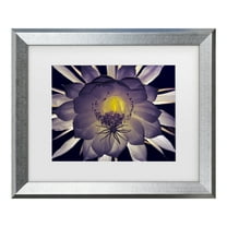 Trademark Fine Art 'Night Angel' Canvas Art by Kurt Shaffer