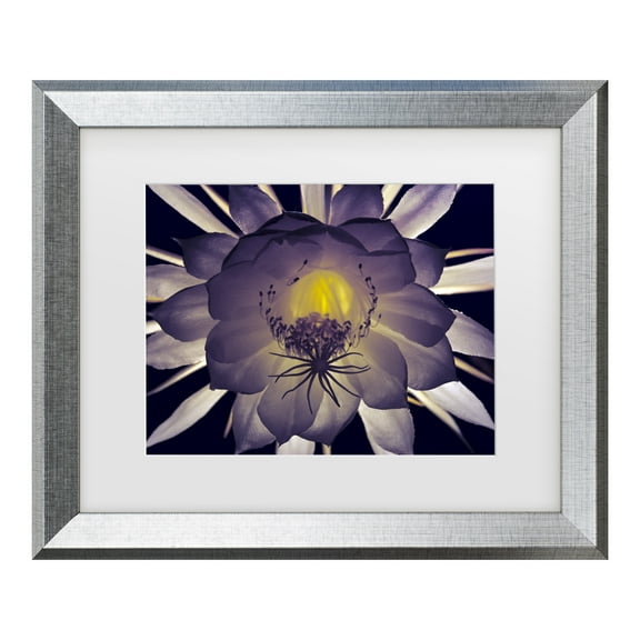 Trademark Fine Art 'Night Angel' Canvas Art by Kurt Shaffer