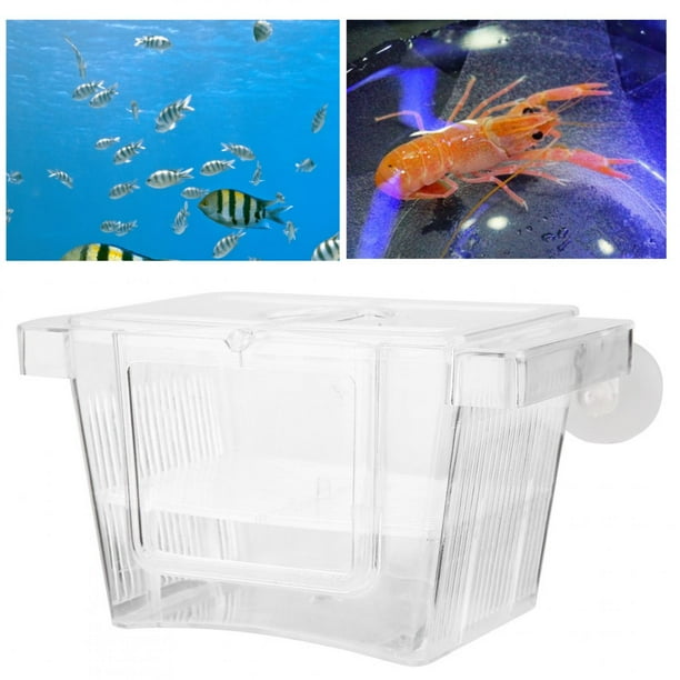 Aquarium Isolation Box, Fish Breeder Box, Transparent Acrylic Fish
