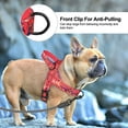 thumbnail image 5 of Didog No Pull Dog Harness with Soft Padded Handle Front Leading Safety Escape Proof Quick Fit Buckle, 5 of 7