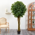 thumbnail image 4 of Nearly Natural 5379 Arbre Ficus 7.5 Pieds Résistant aux UV - Intérieur-Extérieur, 4 of 5