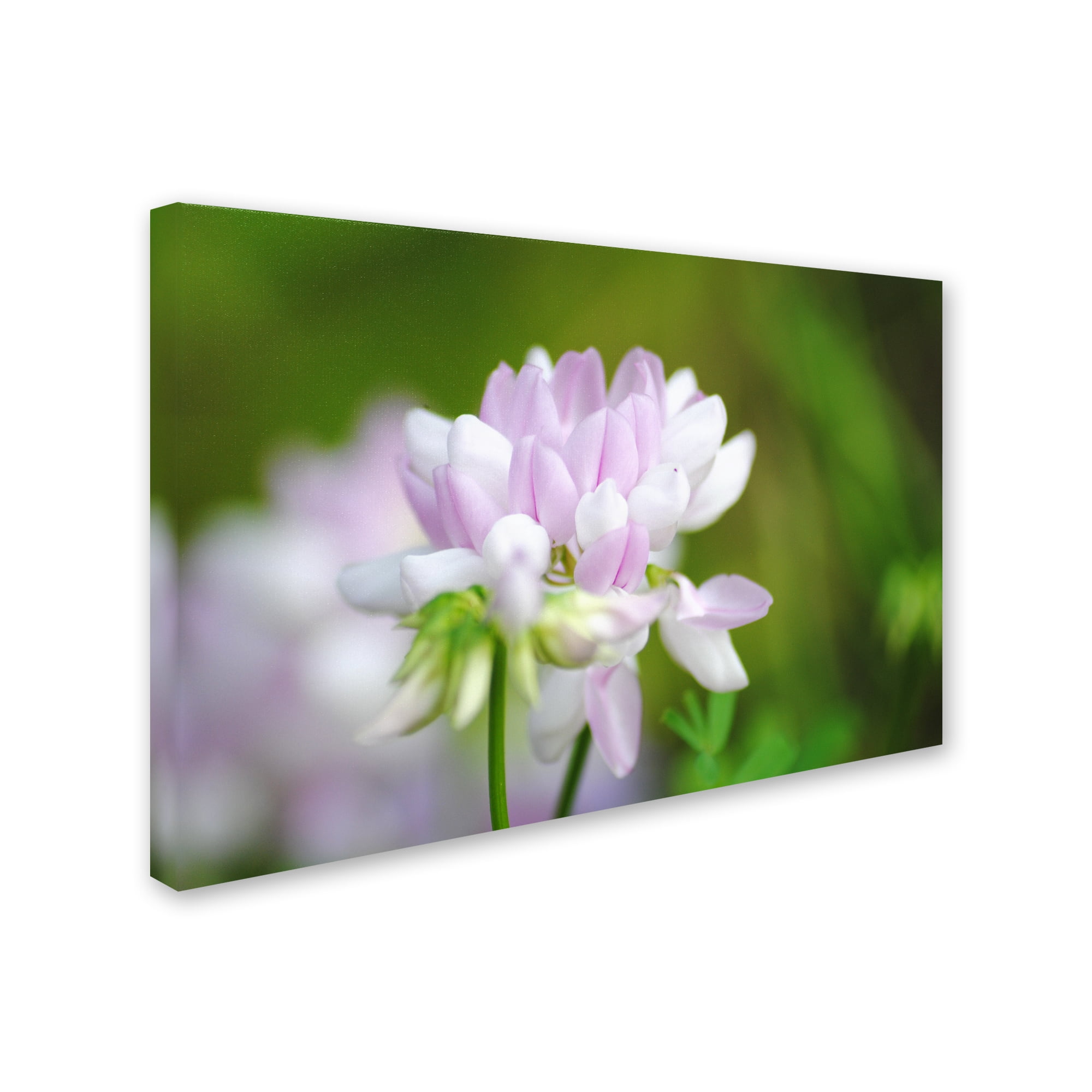 Trademark Fine Art "Calm Heart" Canvas Art by Monica Mize