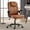 Brown, variant on Executive Office Chair, Ergonomic PU Leather Computer Chairs, Executive Breathable Desk Chair with Padded Flip-Up Arms, 360 °   Swivel Rolling Chair Comfy Padded for Working Studying Gaming (Black)