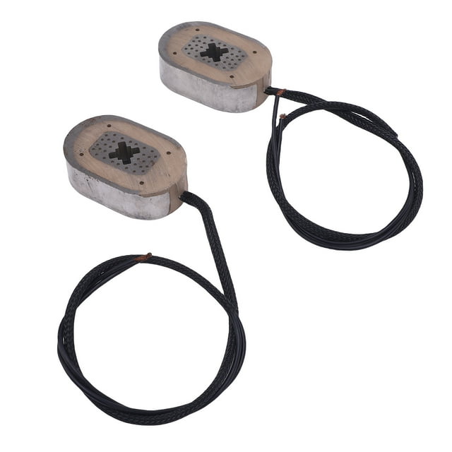Aimant de Frein de Remorque Électrique Remplacement Efficacité de Freinage Améliorée Performance Durable pour RV 12V 2 Pcs