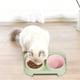 thumbnail image 4 of Comedero doble inclinado para perros y gatos | Comedero y bebedero de plástico elevado | Antideslizante, antivuelco, con soporte cervical | 30 x 14,5 cm, rosa, amarillo y verde, 4 of 6